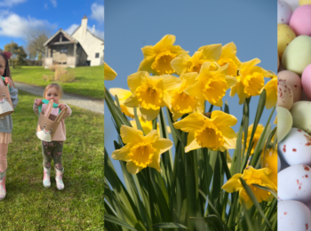 What’s On at Easter at Wooda Farm Holiday Park