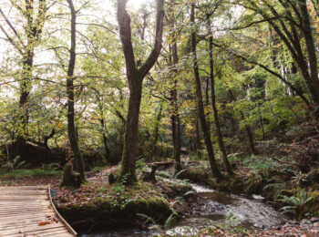 Autumn Holidays in Cornwall: Discover the Magic of September to November at Wooda Farm Holiday Park